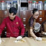 Lương y Nguyễn Thái Hà – “cây kim vàng” trong châm cứu trị liệu