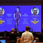 Bất ngờ với Nobel Y học 2021