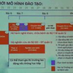 Ngành Bác sĩ học gì? Ra trường làm gì?