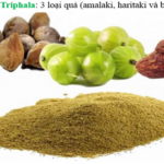Thảo mộc giúp tăng tuổi thọ hàng đầu trong nền y học cổ truyền Ấn Độ Ayurvedic – Teresa Herbs Viet Nam