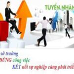 Tìm Việc Làm Bất Động Sản – Bất Động Sản Thiên Khôi
