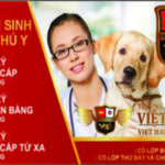 TUYỂN SINH TRUNG CẤP THÚ Y – TRƯỜNG TRUNG CẤP VIỆT HÀN