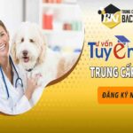 Học Trung Cấp Thú Y tại TPHCM – TRƯỜNG TRUNG CẤP CÔNG NGHỆ BÁCH KHOA