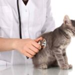 Ngành Thú y xét tuyển những tổ hợp môn nào?