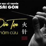 Y học cổ truyền Hà Nội – YHCT