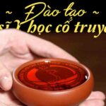 Trung cấp Y sĩ Y học cổ truyền – Trung cấp y khoa trung ương