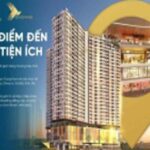 Dự án bất động sản tại Quận 6 – CafeLand.Vn