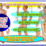Địa chỉ học Chứng chỉ Châm cứu – Bấm huyệt uy tín năm 2021 – TRUNG CẤP Y DƯỢC TÔN THẤT TÙNG