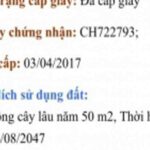 Dự án bất động sản tại Long Thành – CafeLand.Vn