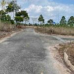 Khu công nghiệp tại Nhơn Trạch – CafeLand.Vn