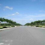 Đất nền Nhơn Trạch quy mô 1000 hecta sốt lên từng ngày