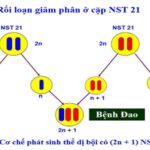 Di truyền y học Sinh học 12 –