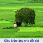 Thủ tục tặng cho đất đai: Toàn bộ hướng dẫn chi tiết nhất