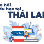 DU HỌC NHA KHOA NGÀNH PHẪU THUẬT HÀM MẶT – VDS-Trust