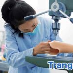 Tìm hiểu ngành nghề: Kỹ thuật Y sinh (Mã XT: 7520212)