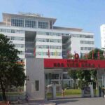 Ngành dược học trường nào – Top 10 trường đào tạo tốt nhất