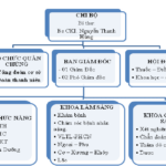 Bệnh viện y học cổ truyền