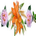 Bộ môn Y học cổ truyền – Trường Đại học Y Dược Thái Bình