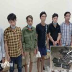 Công an huyện Nhơn Trạch triệt phá một băng nhóm chuyên cắt trộm dây cáp điện ngầm