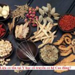 Liệu có tồn tại Y học cổ truyền có hệ Cao đẳng?