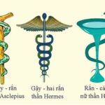Lý giải vì sao con rắn lại là biểu tượng của ngành Y