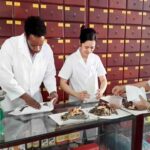 Ngành Y học cổ truyền – Ngành Y dược học cổ truyền
