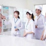 Ngành Y tá điều dưỡng lấy bao nhiêu điểm? –