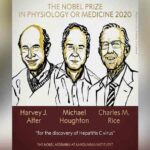 Nobel y sinh 2020 vinh danh khám phá về virus viêm gan C