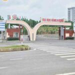 Top 9 Trường đào Tạo Ngành Thú Y Hiệu Quả Và Tốt Nhất ở Việt Nam Hiện Nay – Đề án 2020 – Tổng Hợp Chia Sẻ Hình ảnh, Tranh Vẽ, Biểu Mẫu Trong Lĩnh Vực Giáo Dục