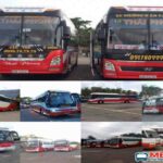 Danh sách xe khách tuyến Đồng Nai đi Cà Mau đầy đủ nhất –  | Hệ thống đặt vé xe Limousine và xe giường nằm cao cấp | 1900 6772