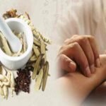 Y học cổ truyền Việt Nam và những kiến thức tổng quan cần biết
