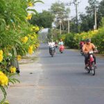 Đồng Nai: 13 xã đạt chuẩn nông thôn mới nâng cao