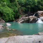 Địa điểm du lịch Suối Đá Bàn độc đáo ở Đà Lạt