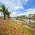 Trụ sở chính của Tập đoàn bất động sản Cát Tường ở đâu?