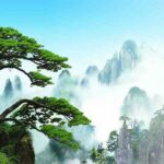 Hoàng Sơn Tứ Tuyệt – Nơi cây, suối, đá và mây hội tụ thành tuyệt tác –