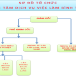 CƠ CẤU TỔ CHỨC BỘ MÁY QUẢN LÝ – TRUNG TÂM DỊCH VỤ VIỆC LÀM BÌNH THUẬN