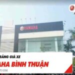 Yamaha Bình Thuận : 10 Đại lý Yamaha Bình Thuận và giá bán mới nhất