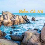 Biển Cà Ná Ninh Thuận: Kinh nghiệm phượt du lịch ăn chơi A-Z