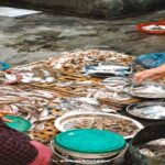 Chợ Gò Phan Thiết quê tôi