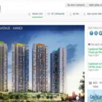 TOP 20 Công Ty Bất Động Sản Uy Tín Hàng Đầu Hiện Nay