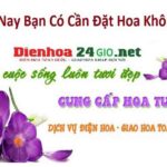 bình thuận google map bản đồ chi tiết về tỉnh Bình Thuận