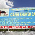 Trung tâm huấn luyện chó Biên Hòa, Đồng Nai Uy tín, giá rẻ