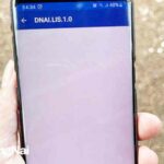 Mong ứng dụng DNAI.LIS sớm hoạt động trở lại