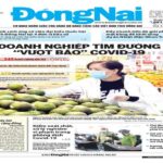 Tin tức nổi bật trên Báo Đồng Nai ra ngày 6-5-2021