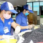 Nhiều địa phương quy hoạch thêm khu công nghiệp