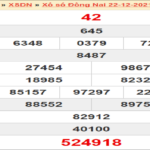 Dự đoán XSDN 29/12/2021 – Soi cầu xổ số Đồng Nai 29/12 thứ 4
