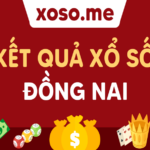Top 20 xo so dong nai 7/10 mới nhất 2022