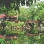 Khám Phá Khu Du Lịch Đảo Ó – Đồng Trường