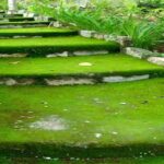 Vẻ đẹp Hòn Bà Lagi – Bình Thuận – Địa danh Bình Thuận