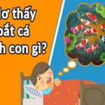 Mơ thấy bắt cá đánh con gì? Có ý nghĩa là điềm Tốt hay Xấu